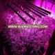 High quality 85-265v apollo 12 led menards eco speed led grow light planting cob led grow light bar with CE ROHS